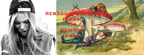 2c-b Белокуриха